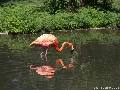 Krefeld Zoo-11