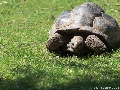 Krefeld Zoo-19