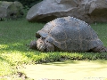 Krefeld Zoo-20