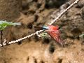 Krefeld Zoo-23