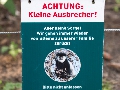 Krefeld Zoo-32